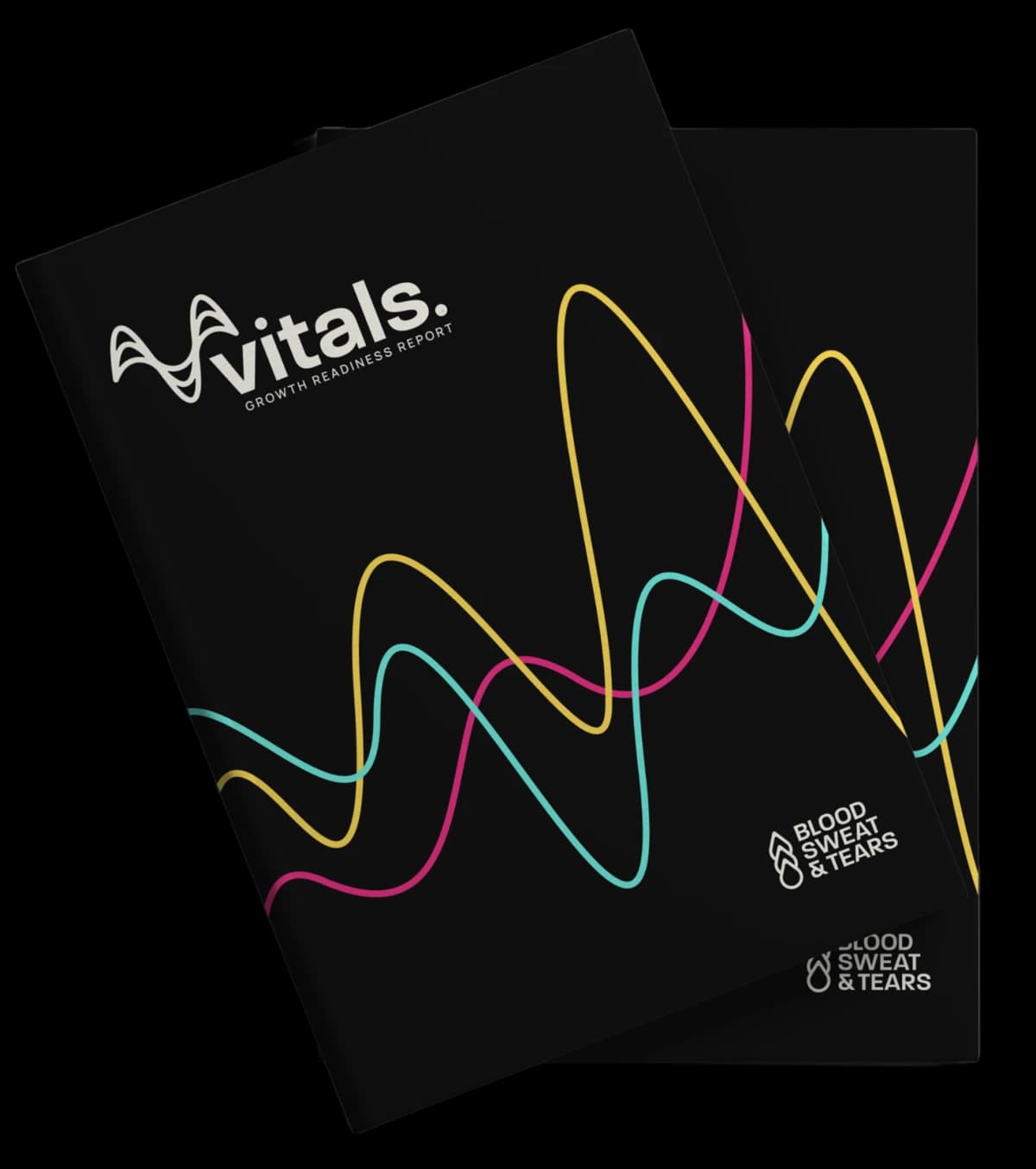 Bound copies of our Vitals reports